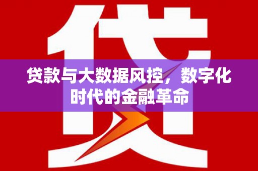 睢宁贷款与大数据风控，数字化时代的金融革命
