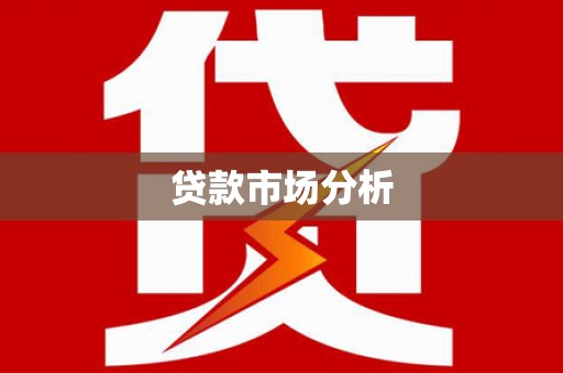 上林贷款市场分析