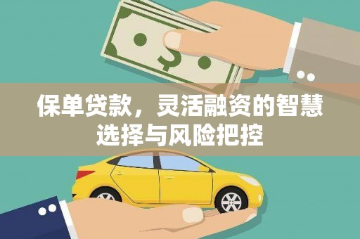 贞丰保单贷款，灵活融资的智慧选择与风险把控