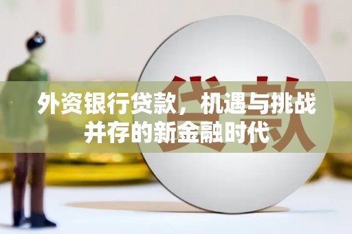 海原外资银行贷款，机遇与挑战并存的新金融时代