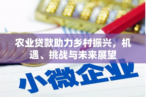 开平农业贷款助力乡村振兴，机遇、挑战与未来展望