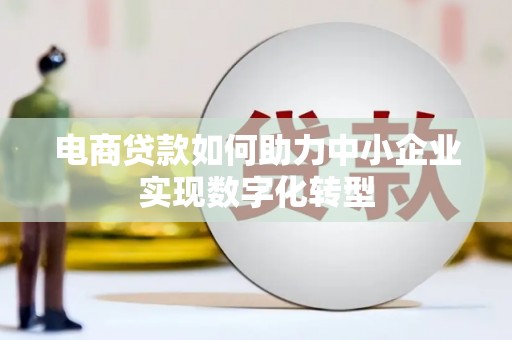 沙湾电商贷款如何助力中小企业实现数字化转型