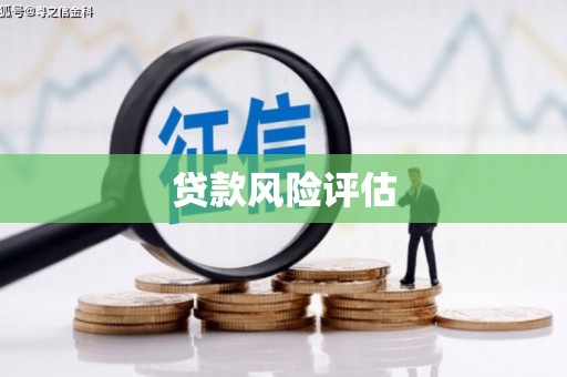 雾台贷款风险评估