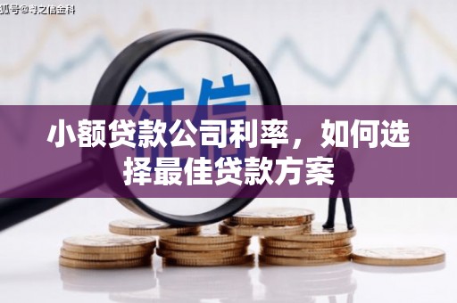 沁源小额贷款公司利率，如何选择最佳贷款方案