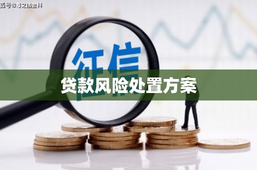 黄平贷款风险处置方案