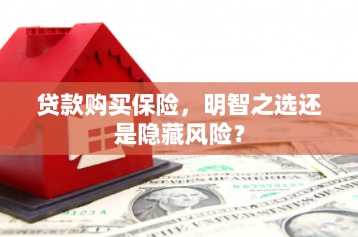 邵阳县贷款购买保险，明智之选还是隐藏风险？