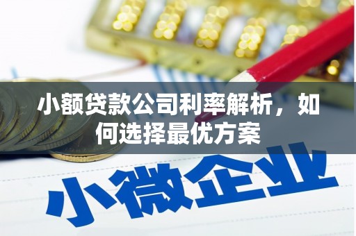 天水小额贷款公司利率解析，如何选择最优方案