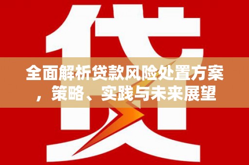 东明全面解析贷款风险处置方案，策略、实践与未来展望