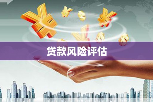 海港贷款风险评估