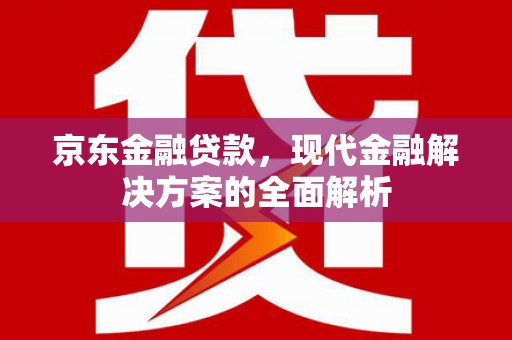 新蔡京东金融贷款，现代金融解决方案的全面解析