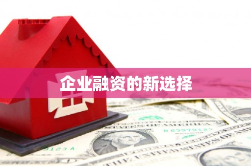 湖口企业融资的新选择
