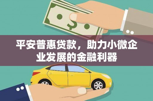 坡头平安普惠贷款，助力小微企业发展的金融利器