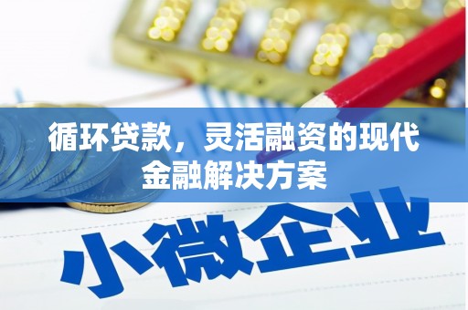 麟游循环贷款，灵活融资的现代金融解决方案