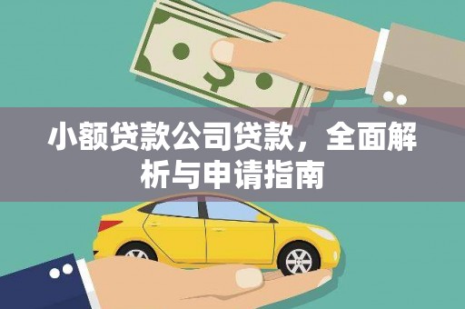 玉树小额贷款公司贷款，全面解析与申请指南
