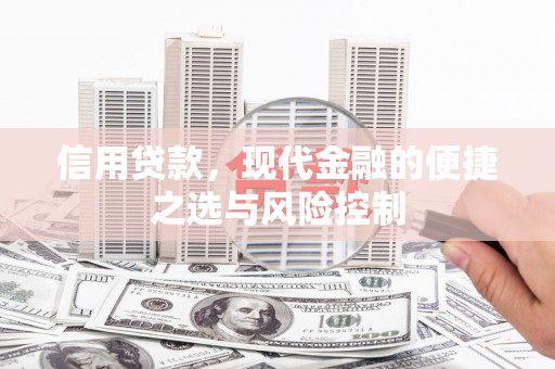 新泰信用贷款，现代金融的便捷之选与风险控制