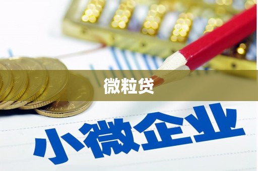 民和微粒贷