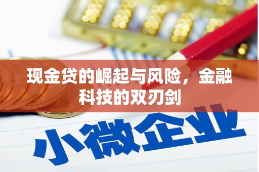 普格现金贷的崛起与风险，金融科技的双刃剑