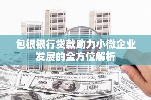荔浦包银银行贷款助力小微企业发展的全方位解析