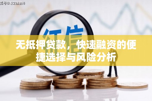 左营无抵押贷款，快速融资的便捷选择与风险分析