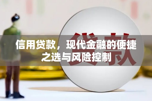 南郊信用贷款，现代金融的便捷之选与风险控制