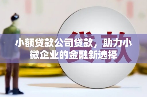 张掖小额贷款公司贷款，助力小微企业的金融新选择