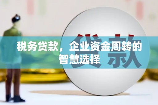 邵东税务贷款，企业资金周转的智慧选择