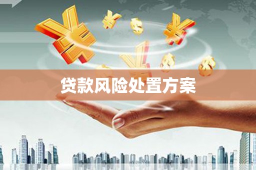 长岭贷款风险处置方案