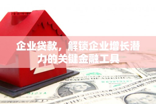 丹寨企业贷款，解锁企业增长潜力的关键金融工具