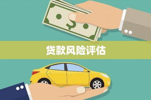 文成贷款风险评估