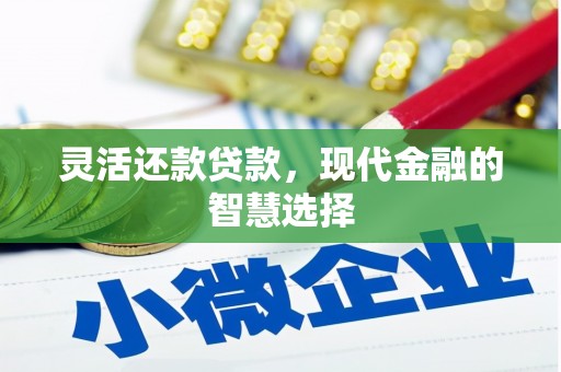 洛扎灵活还款贷款，现代金融的智慧选择