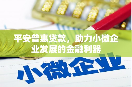 温宿平安普惠贷款，助力小微企业发展的金融利器