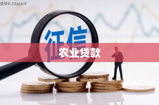 湖里农业贷款