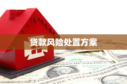 禄劝贷款风险处置方案