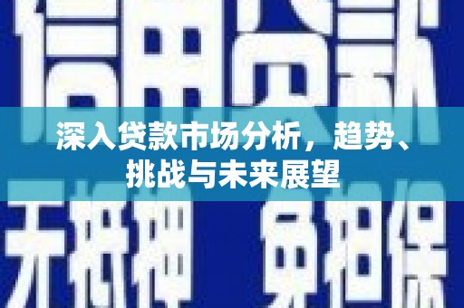港南深入贷款市场分析，趋势、挑战与未来展望