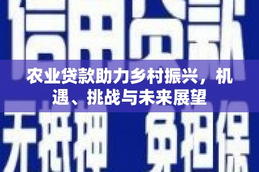 站前农业贷款助力乡村振兴，机遇、挑战与未来展望
