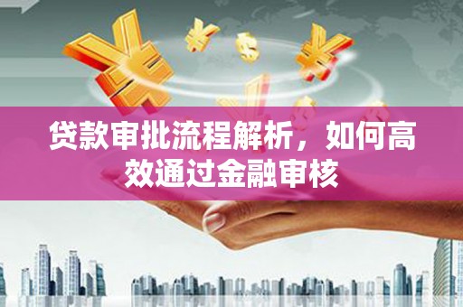 沈丘贷款审批流程解析，如何高效通过金融审核