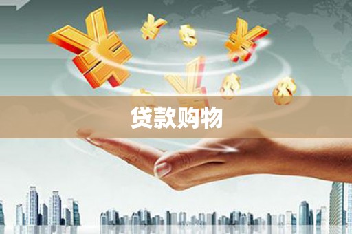 单县贷款购物