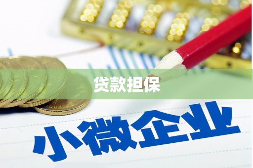 水上贷款担保