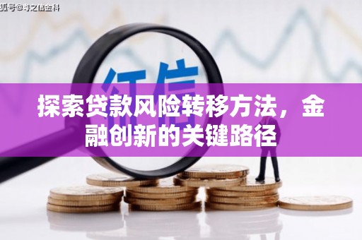 清流探索贷款风险转移方法，金融创新的关键路径
