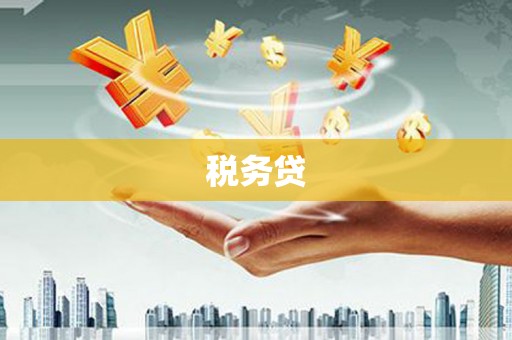 禄丰税务贷