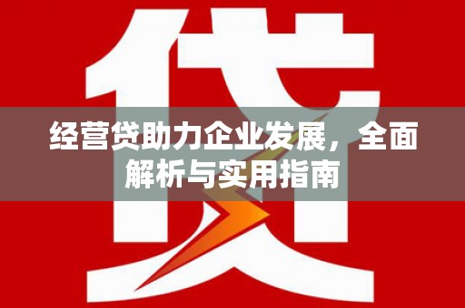 万秀经营贷助力企业发展，全面解析与实用指南