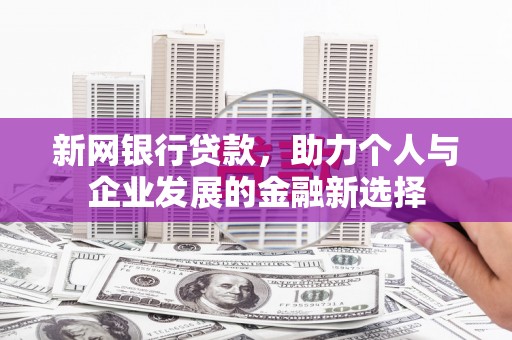洪雅新网银行贷款，助力个人与企业发展的金融新选择