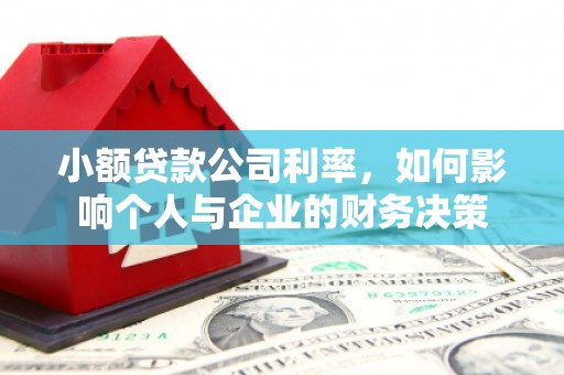 慈利小额贷款公司利率，如何影响个人与企业的财务决策