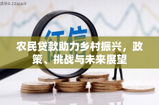 龙文农民贷款助力乡村振兴，政策、挑战与未来展望