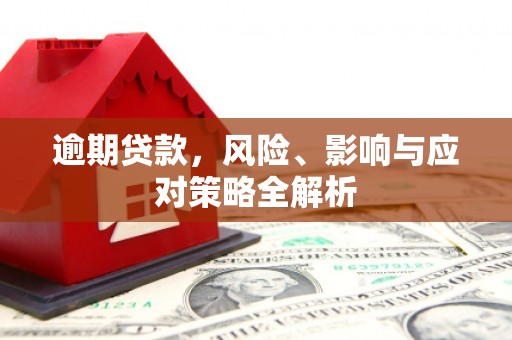鼎城逾期贷款，风险、影响与应对策略全解析