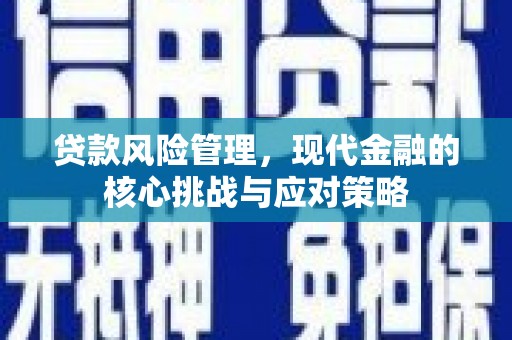港闸贷款风险管理，现代金融的核心挑战与应对策略