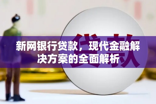 嘉禾新网银行贷款，现代金融解决方案的全面解析