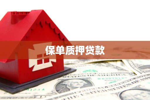 武陟保单质押贷款