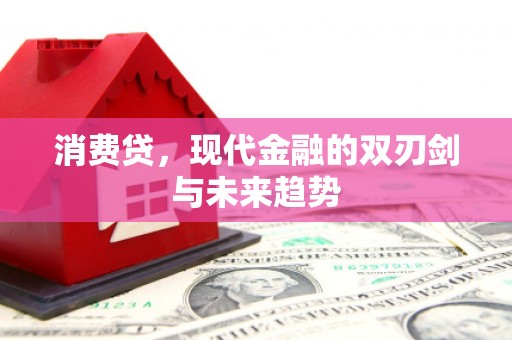 儋州消费贷，现代金融的双刃剑与未来趋势