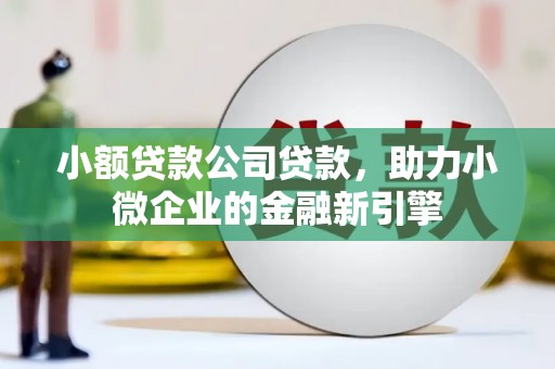 天等小额贷款公司贷款，助力小微企业的金融新引擎
